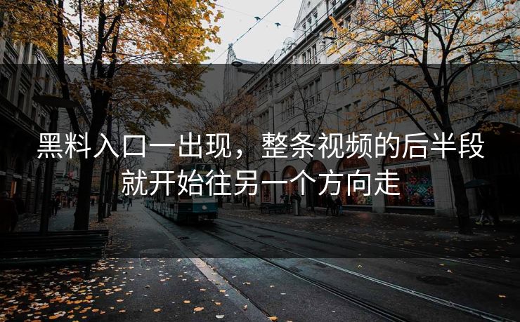 黑料入口一出现,整条视频的后半段就开始往另一个方向走