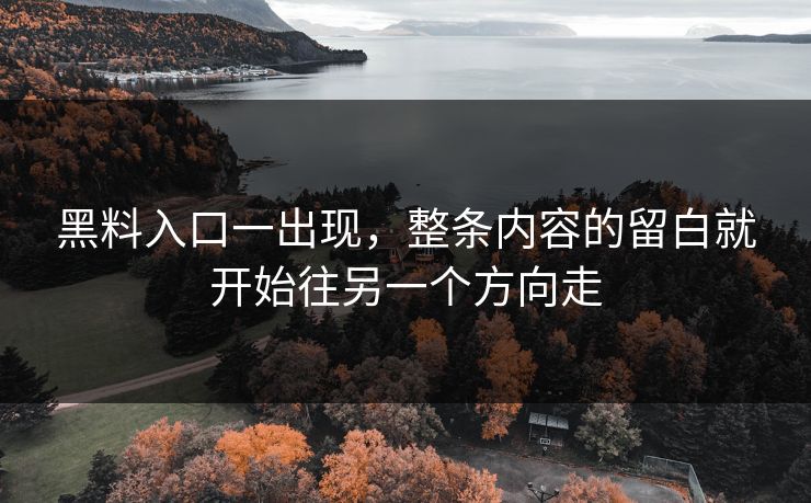 黑料入口一出现，整条内容的留白就开始往另一个方向走