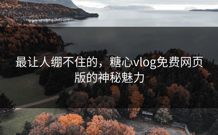 最让人绷不住的，糖心vlog免费网页版的神秘魅力