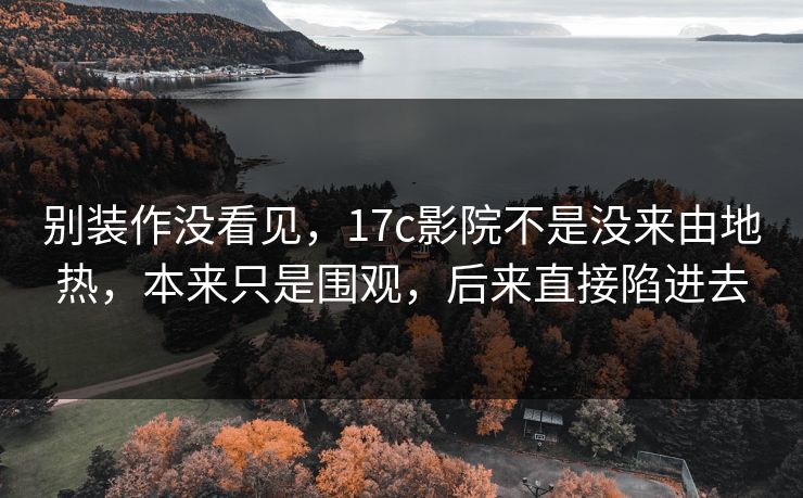 别装作没看见，17c影院不是没来由地热，本来只是围观，后来直接陷进去