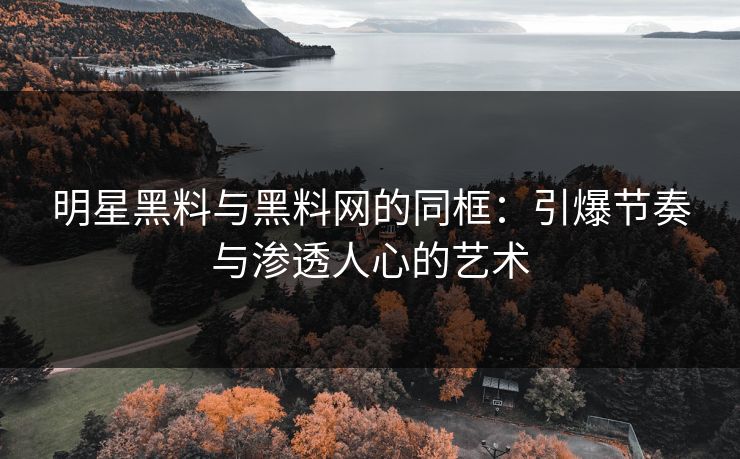 明星黑料与黑料网的同框：引爆节奏与渗透人心的艺术
