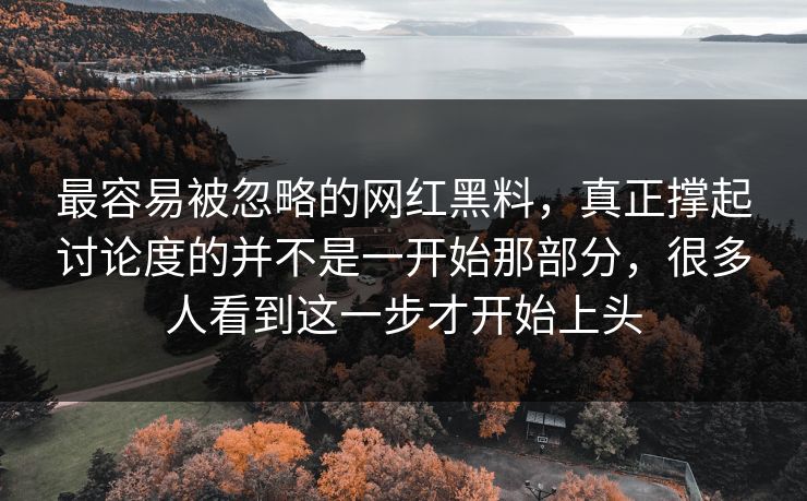 最容易被忽略的网红黑料，真正撑起讨论度的并不是一开始那部分，很多人看到这一步才开始上头