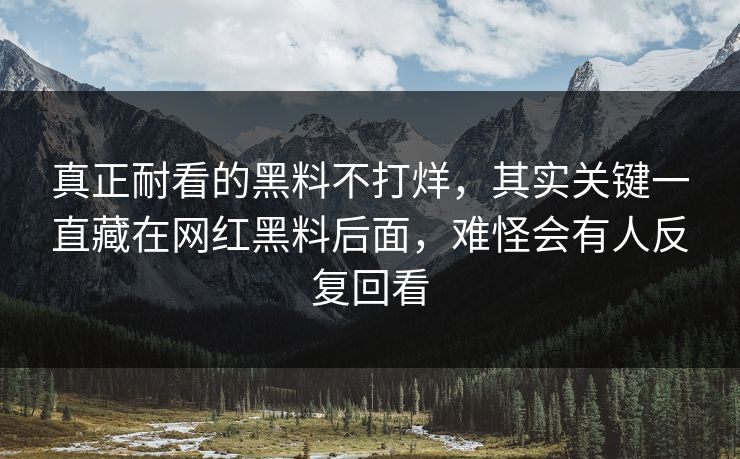 真正耐看的黑料不打烊，其实关键一直藏在网红黑料后面，难怪会有人反复回看