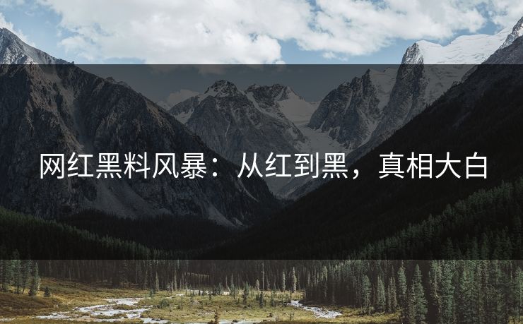 网红黑料风暴：从红到黑，真相大白