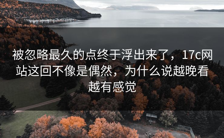 被忽略最久的点终于浮出来了，17c网站这回不像是偶然，为什么说越晚看越有感觉